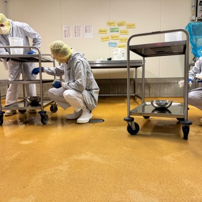 Tag der Lebensmittelsicherheitskultur 2025